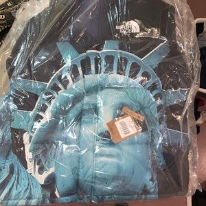 Supreme x North Face black baltoro jacket